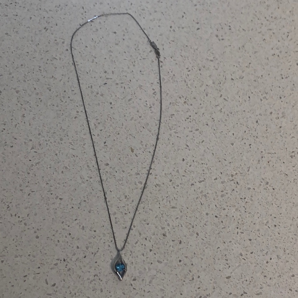 The Bradford Exchange Birthstone Necklace Sterling